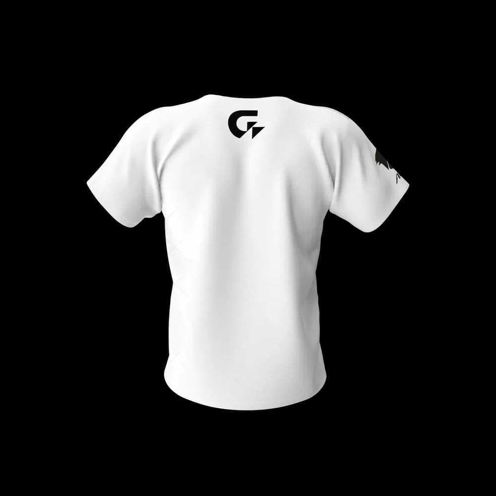 Gigabyte Aorus Men Tshirt